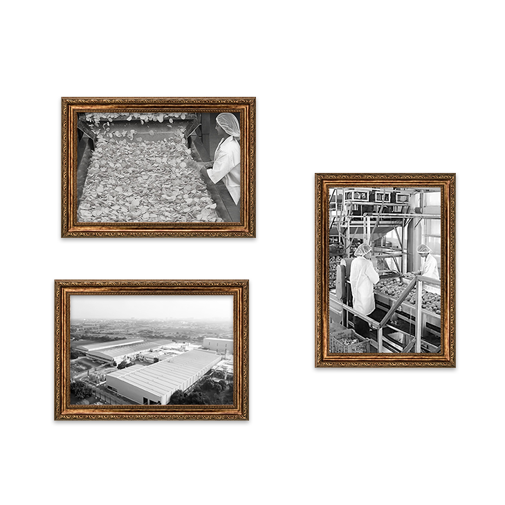 A visual history of Balaji Wafers